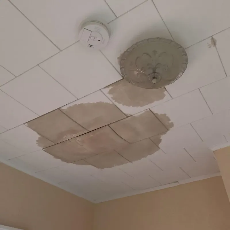 Ceiling Water Damage Repair in Henry Fork, VA