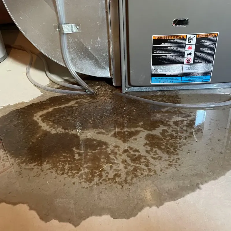 Pipe Burst and Leak Restoration in Henry Fork, VA